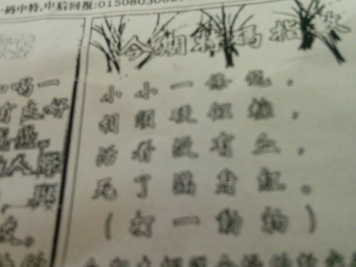 揭秘劉伯溫四肖選一肖的神秘預(yù)測(cè)藝術(shù)，劉伯溫四肖選一肖的神秘預(yù)測(cè)藝術(shù)揭秘