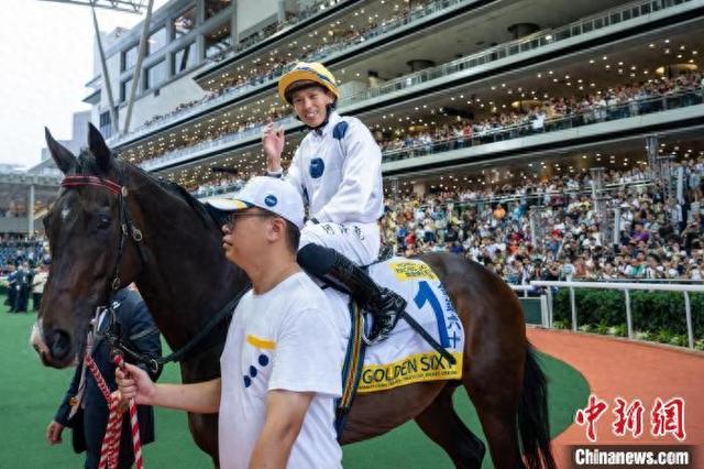 香港特馬王資料免費公開，揭秘背后的秘密，香港特馬王資料揭秘，免費公開背后的秘密