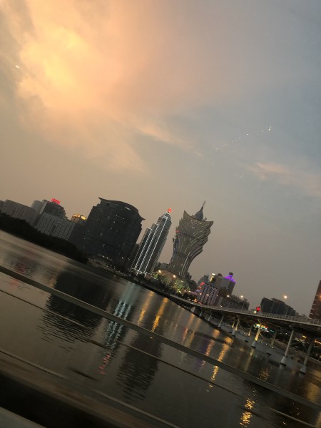 澳門今晚必開一肖一特，深度解析與預(yù)測，澳門今晚生肖特碼深度解析與預(yù)測，一肖一特必開趨勢探討