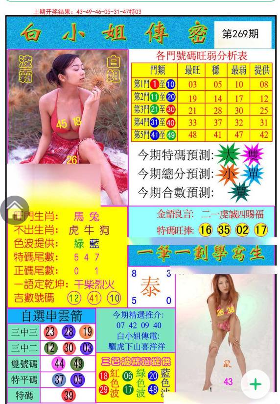 揭秘白小姐與王中王平持一肖的神秘面紗，白小姐與王中王，揭秘神秘生肖預(yù)測面紗
