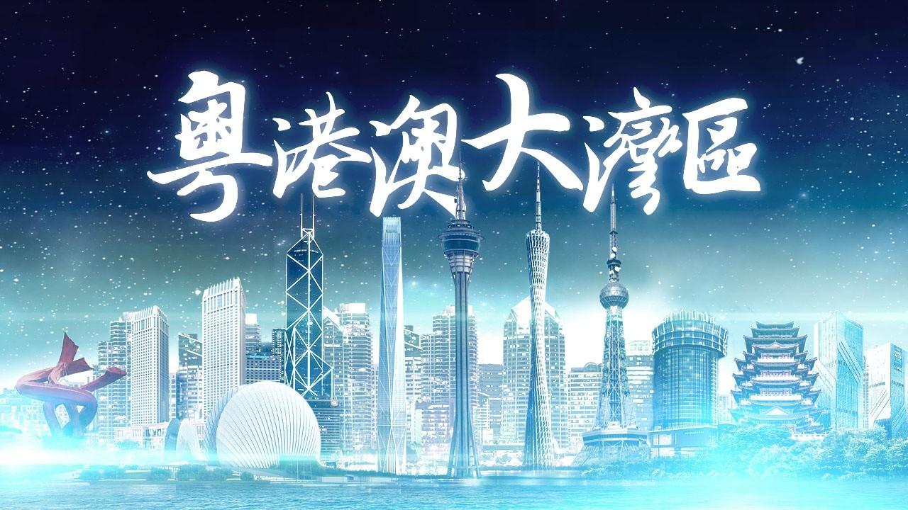 2025年香港正版免費(fèi)資料全面解析，香港正版免費(fèi)資料全面解析（2025版）