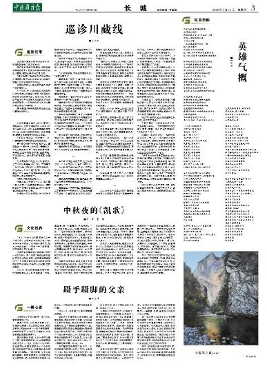 芳草地精準正版資料，探索與解析，芳草地精準正版資料深度解析與探索