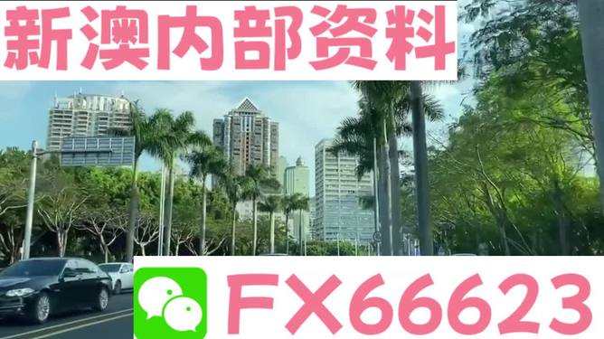 新澳精準(zhǔn)資料免費(fèi)提供，探索第221期的奧秘與價(jià)值，新澳精準(zhǔn)資料揭秘第221期奧秘與價(jià)值