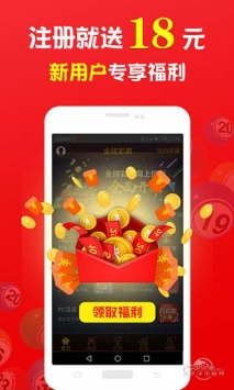 王中王一肖中打一，深度解析一種獨(dú)特的文化現(xiàn)象，王中王一肖中打一，獨(dú)特文化現(xiàn)象的深度探究