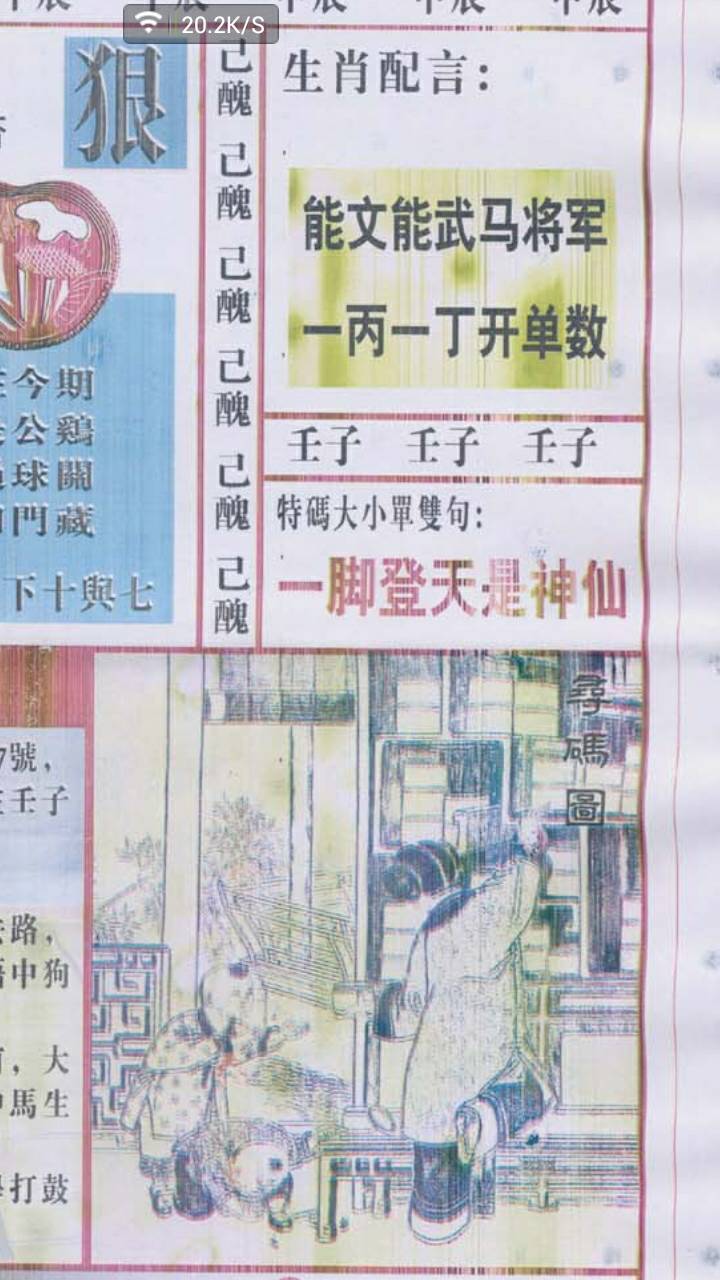 仍是王中王，揭秘生肖之王的神秘面紗——打一生肖，揭秘生肖之王，王中王的神秘面紗——生肖揭秘