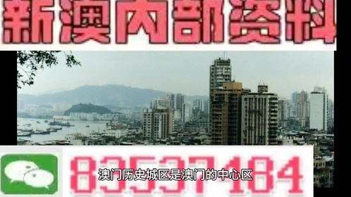 澳門全年最全免費資料大全，探索無盡的資源寶庫，澳門全年免費資料寶庫，探索無盡資源之旅