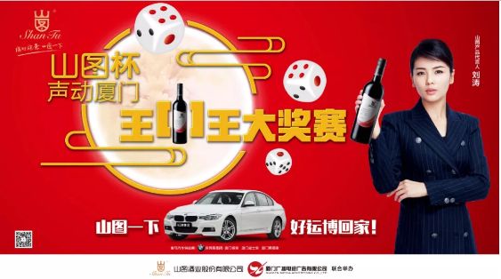 揭秘王中王背后的故事，從肖中的視角看其在SEO領域的輝煌成就，肖中視角下的王中王，SEO領域的輝煌成就揭秘