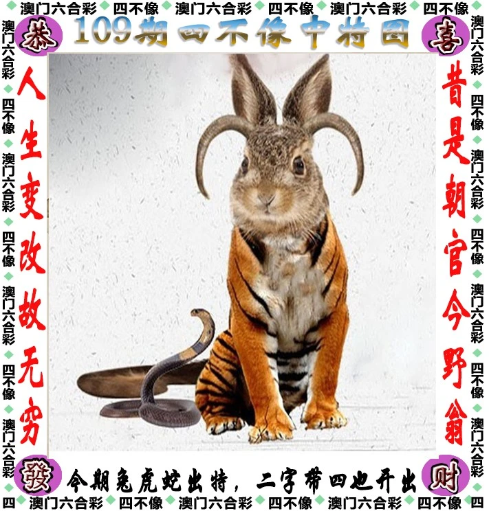王中王四不像一肖中特，揭秘背后的奧秘與特點(diǎn)，揭秘王中王四不像一肖中特背后的奧秘與獨(dú)特特點(diǎn)