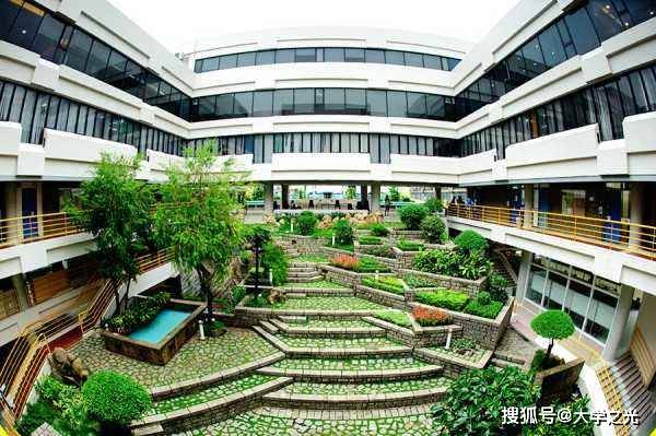 新澳芳草，最精準(zhǔn)的探尋與體驗(yàn)，新澳芳草，精準(zhǔn)探尋與獨(dú)特體驗(yàn)