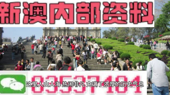 澳門(mén)最精準(zhǔn)免費(fèi)資料大全旅游團(tuán)，探索澳門(mén)之旅的完美選擇，澳門(mén)最精準(zhǔn)免費(fèi)資料大全旅游團(tuán)，探索澳門(mén)之旅的不二之選