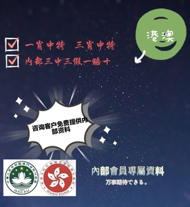 揭秘香港王中王，探尋肖中特背后的秘密，揭秘香港王中王背后的秘密與肖中特真相探索