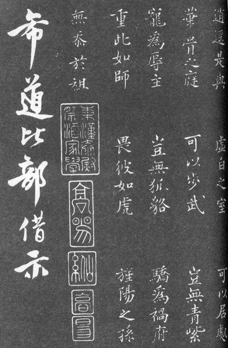 一肖二碼中特的意思解析，一肖二碼中特的意思深度解析