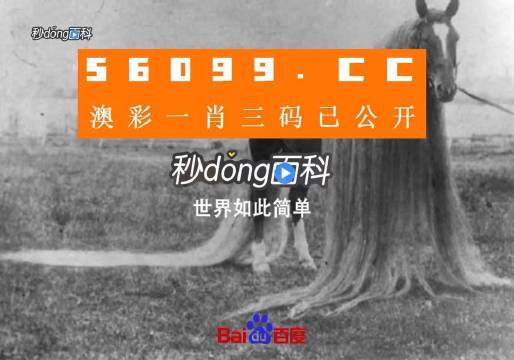 澳門一肖一碼一必中一肖舟山，揭秘彩票秘密，掌握幸運之鑰，揭秘彩票秘密，澳門一肖一碼必中秘籍與幸運之鑰在舟山開啟