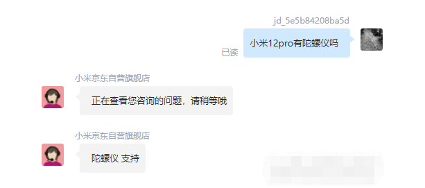 王中王一肖碼，探索關(guān)鍵詞背后的奧秘，王中王一肖碼，揭秘關(guān)鍵詞背后的奧秘
