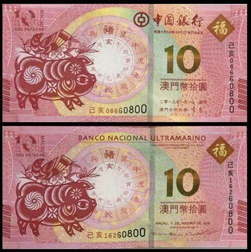澳門天天彩期期精準(zhǔn)十二生肖預(yù)測——揭秘彩票背后的秘密，澳門天天彩期期精準(zhǔn)十二生肖預(yù)測，彩票背后的秘密大揭秘