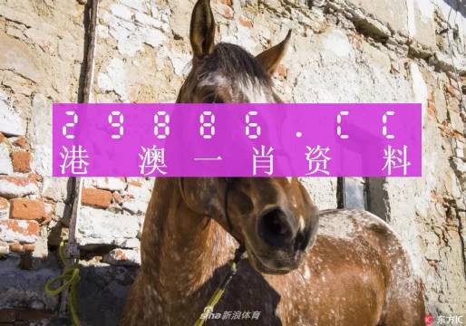 王中王資料一門肖中，深度解析與探索，王中王資料一門肖詳解，深度解析與探索