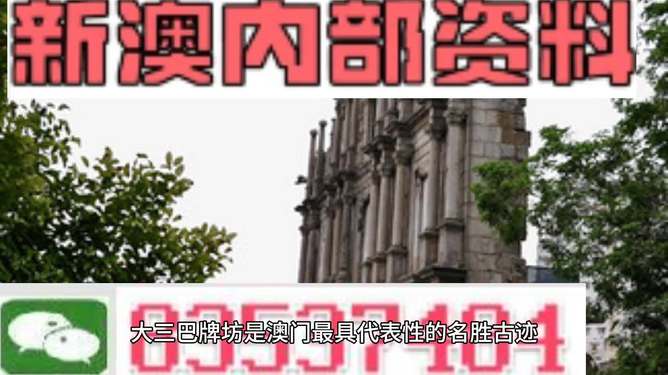 新澳門最精準——探索澳門的精準魅力，澳門魅力揭秘，精準探索之旅