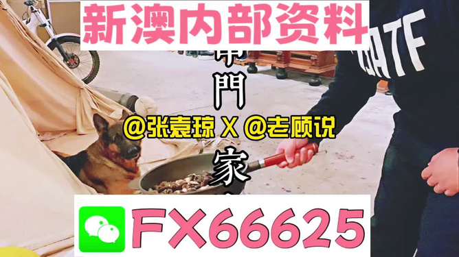 新澳門精準資料大全，管家婆料解析與探索，澳門精準資料大全，管家婆料解析與深度探索