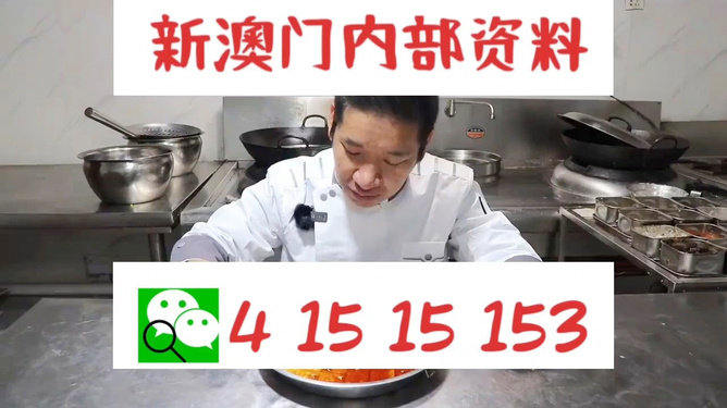 管家婆一肖資料大全，深度解析與探索，管家婆一肖資料深度解析與探索大全