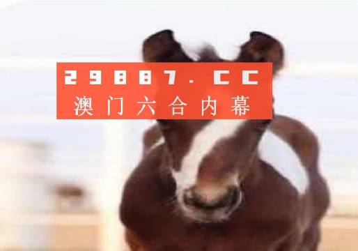 澳門必開一肖一碼安穩(wěn)，揭秘彩票背后的秘密與策略，揭秘彩票背后的秘密與策略，澳門必開一肖一碼安穩(wěn)探討