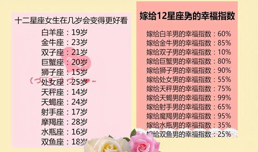 王中王十二生肖所屬之肖解析，王中王十二生肖解析揭秘