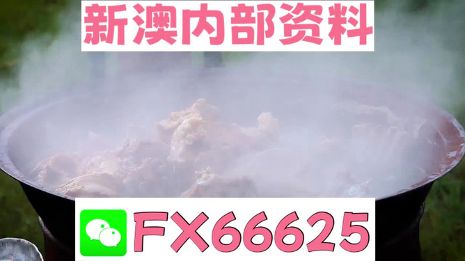 新澳全年免費(fèi)資料大全，一站式獲取優(yōu)質(zhì)資源指南，新澳全年優(yōu)質(zhì)資源免費(fèi)獲取指南