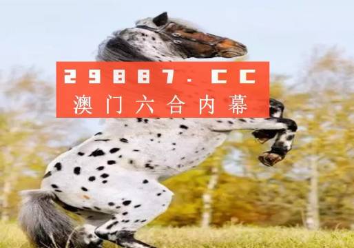 探索澳彩歷史開獎結(jié)果，回顧與預(yù)測（2023年），回顧與預(yù)測，澳彩歷史開獎結(jié)果探索（2023年）