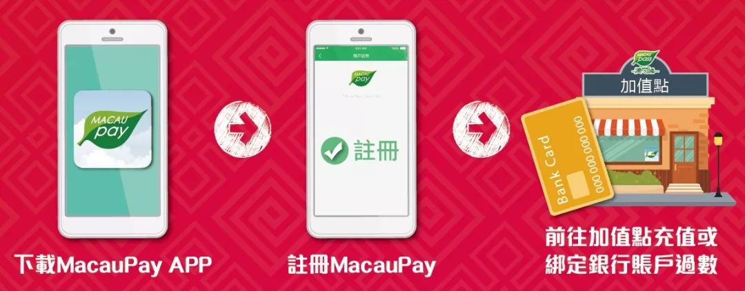 澳門正版資料大全資料生肖卡，探索生肖文化的魅力與實用指南，澳門正版資料大全，生肖文化魅力與實用指南探索