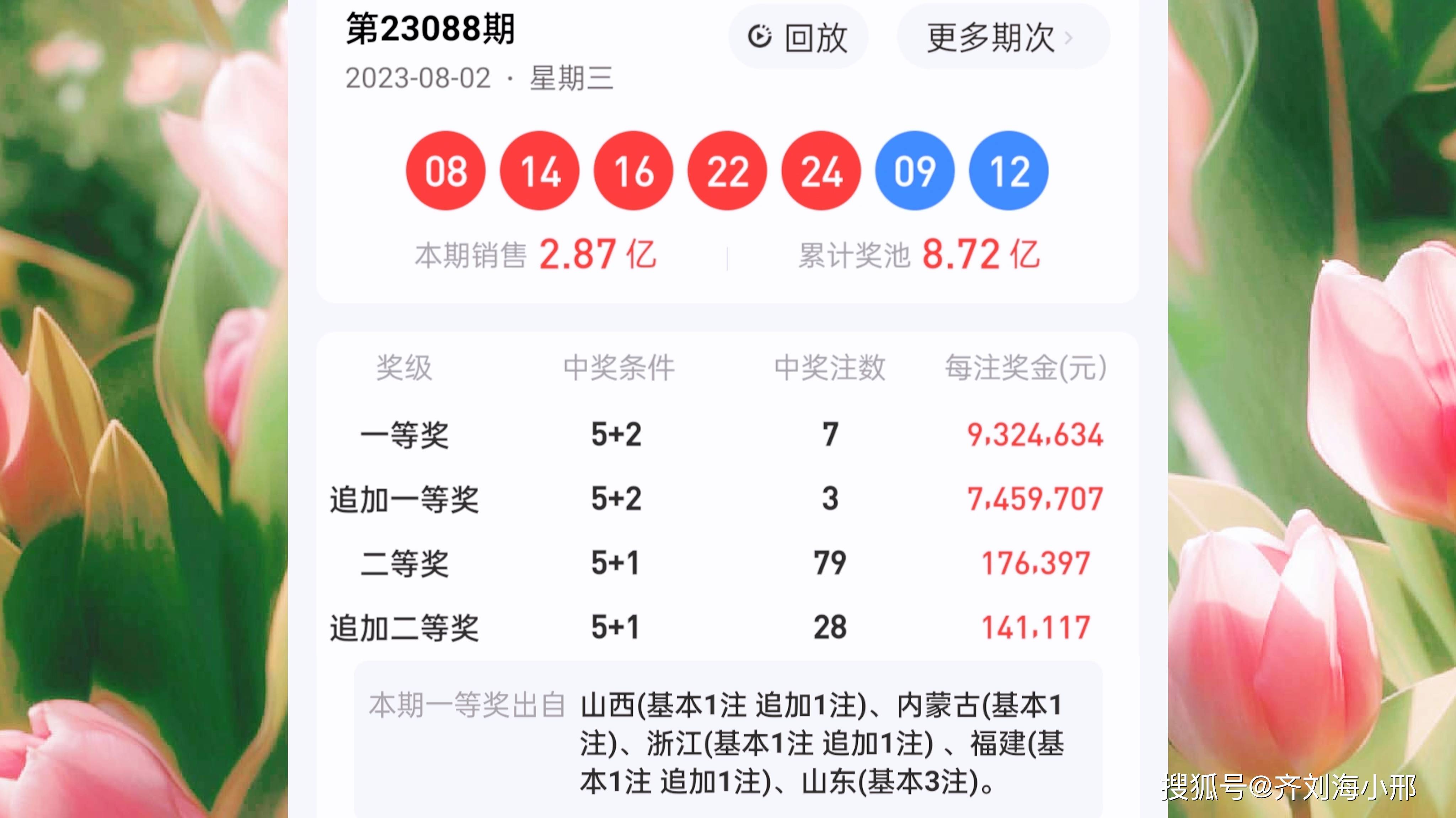 最新開獎結(jié)果揭曉，王中王與一肖中的幸運(yùn)時刻，王中王與一肖中幸運(yùn)時刻揭曉，最新開獎結(jié)果出爐