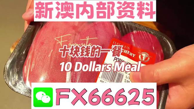 揭秘2025新奧精準(zhǔn)正版資料，全方位解讀與SEO優(yōu)化策略，揭秘2025新奧精準(zhǔn)正版資料，全方位解讀與SEO策略優(yōu)化指南