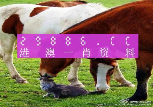 新奧門一肖一碼，揭秘精準(zhǔn)預(yù)測(cè)的秘密，揭秘新澳門一肖一碼精準(zhǔn)預(yù)測(cè)的秘密