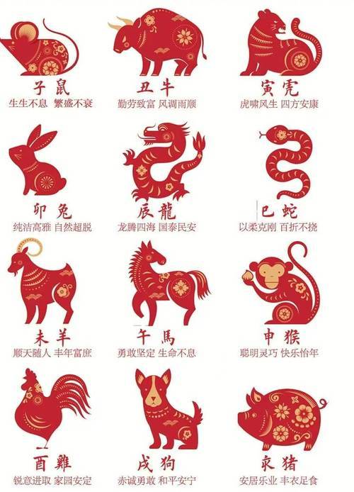 新澳特碼，羊?；⒏鲾?shù)10的獨特魅力與探索，新澳特碼，羊?；⒏鲾?shù)10的獨特魅力與奧秘探索
