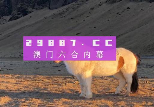 澳門彩六開獎(jiǎng)結(jié)果第52期，深度解析與預(yù)測分析，澳門彩六第52期開獎(jiǎng)結(jié)果深度解析與預(yù)測分析