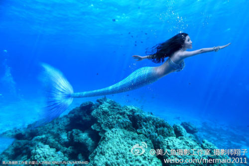 澳門美人魚最快開獎結(jié)果圖——揭秘?zé)衢T彩票游戲背后的秘密，澳門美人魚彩票開獎揭秘，最新結(jié)果圖與游戲背后秘密探索
