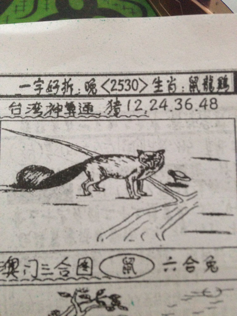 揭秘劉伯溫的生肖，一場(chǎng)看圖尋特之旅，揭秘劉伯溫生肖之謎，一場(chǎng)生肖圖片探尋之旅