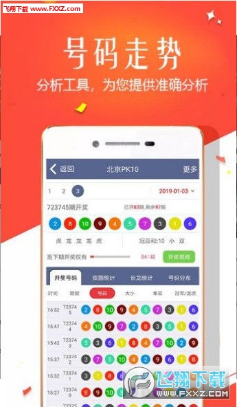 王中王四肖選一，揭秘選擇與優(yōu)化策略，王中王四肖選一，選擇與優(yōu)化策略的揭秘