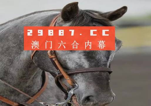 澳門一一碼一特一中準(zhǔn)選今晚，探索真實(shí)有效的選擇與策略，澳門今晚一特一中準(zhǔn)選碼，真實(shí)有效的選擇與策略探索