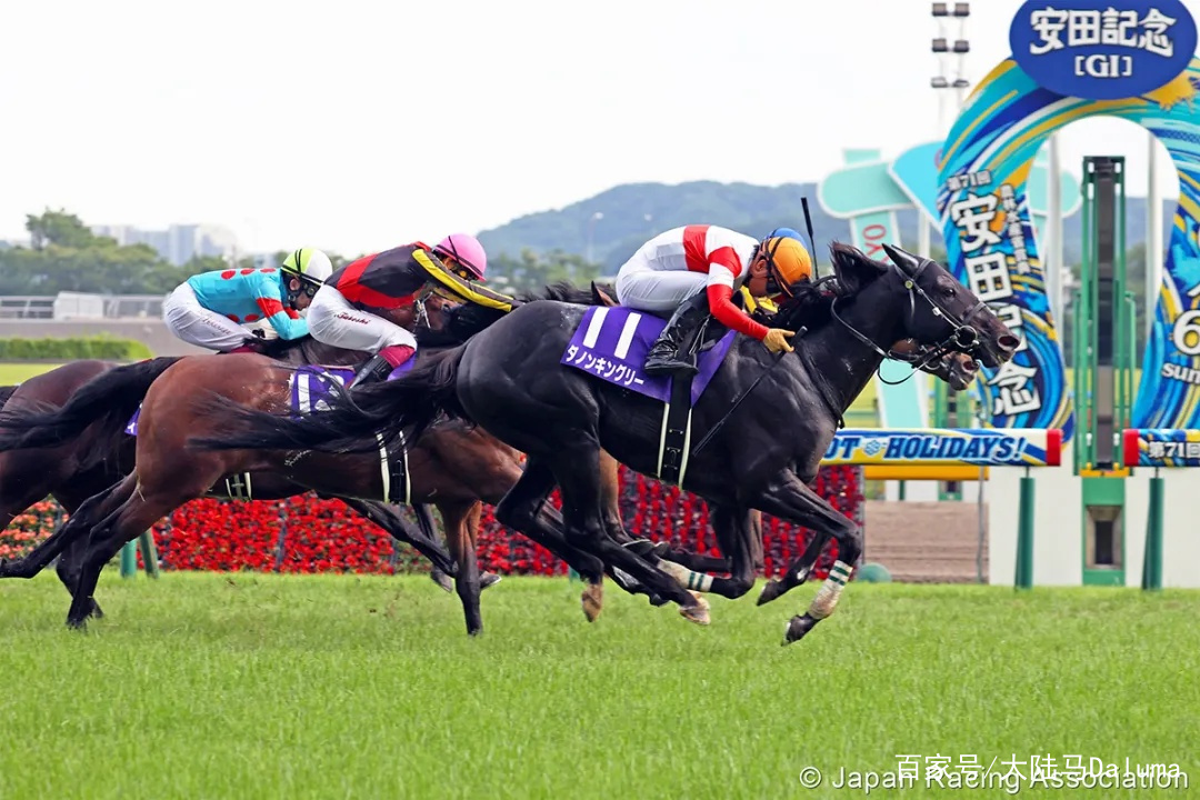 香港王中王與一馬中特肖的獨特魅力，深度解析與探索，香港王中王與一馬中特肖的獨特魅力，深度探索與解析