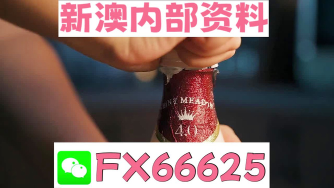 新澳門一碼一碼，揭秘精準預(yù)測的秘密與真相，揭秘澳門一碼一碼精準預(yù)測的秘密與真相