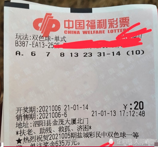 香港六合彩開獎結(jié)果及今晚開獎記錄解析，香港六合彩開獎結(jié)果與解析，今晚開獎記錄揭秘