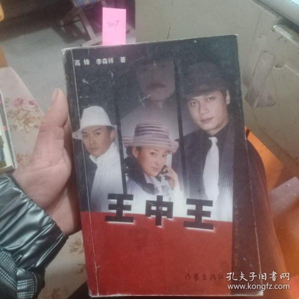 王中王資料一肖中天，深度解析與探索，王中王資料一肖中天，深度剖析與探索
