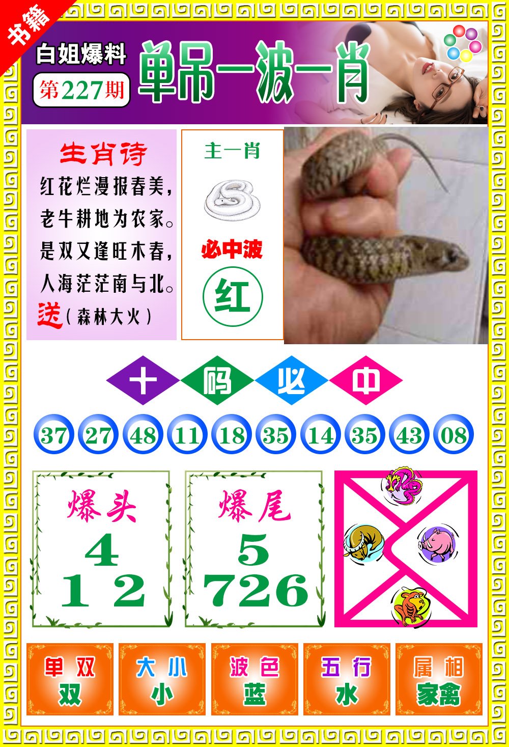 王中王免費開獎一肖結(jié)果，揭秘彩票背后的秘密，揭秘王中王彩票開獎內(nèi)幕，一肖結(jié)果背后的秘密揭曉