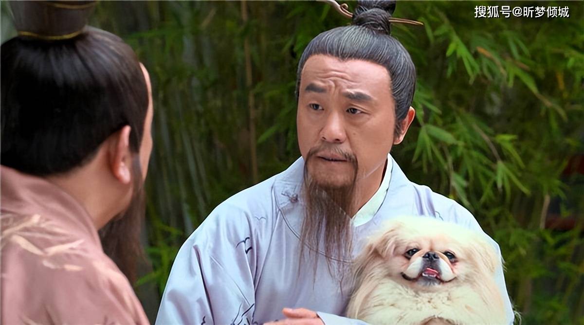 揭秘劉伯溫四不象一肖的神秘面紗——探尋背后的傳奇故事，揭秘劉伯溫四不象一肖背后的傳奇故事，神秘面紗下的神秘傳說