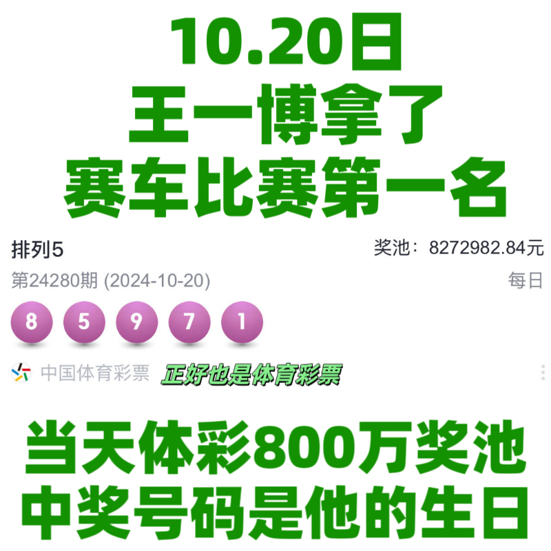 王中王一肖資料中特馬——深度解析與SEO洞察，王中王一肖特馬深度解析與SEO洞察揭秘
