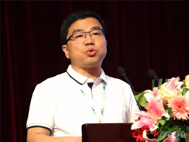 王中王一平特肖，揭秘第100期的秘密與策略，揭秘第100期秘密與策略，王中王一平特肖獨(dú)家解析