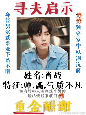 一肖一碼一一肖一子善，探尋命運密碼與智慧之光的完美結(jié)合，命運密碼與智慧之光，一肖一碼一一肖一子善的探尋