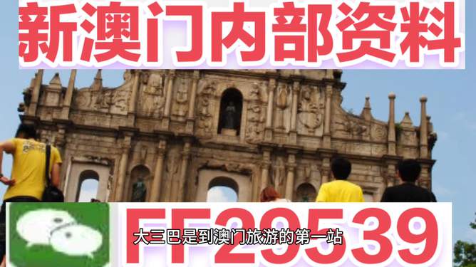 澳門今晚必開一肖一特，深度解析與預測，澳門今晚生肖特碼深度解析與預測，一肖一特必開趨勢探討