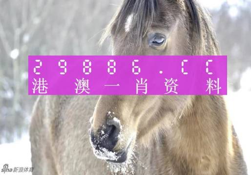 澳門一肖一碼背后的故事，精準(zhǔn)背后的秘密與傳奇，澳門一肖一碼背后的秘密與傳奇故事揭秘