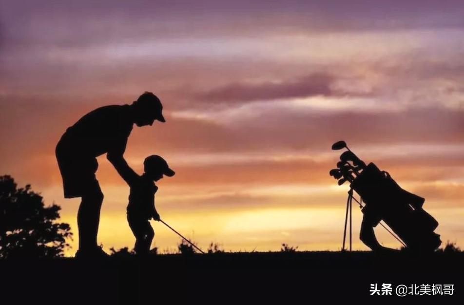 森林高手王中王與神秘生肖——深度解讀背后的故事與秘密，森林高手王中王與神秘生肖，故事背后的深度解讀與秘密探尋