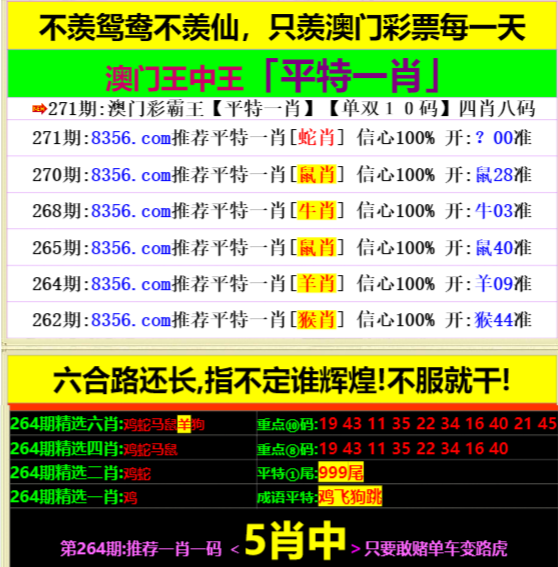 王中王資料一肖中特，深度解析與SEO優(yōu)化策略，王中王資料一肖中特深度解析與SEO優(yōu)化策略指南